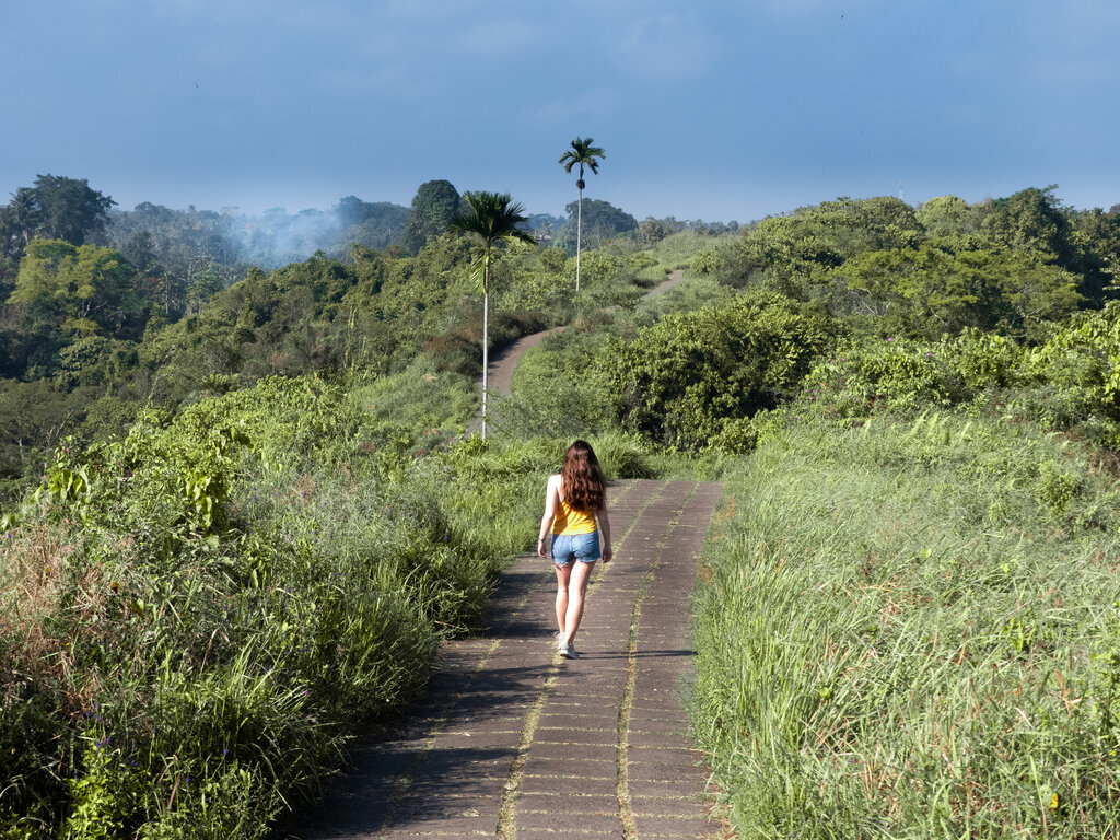 Campuhan Ridge Walk, Ubud