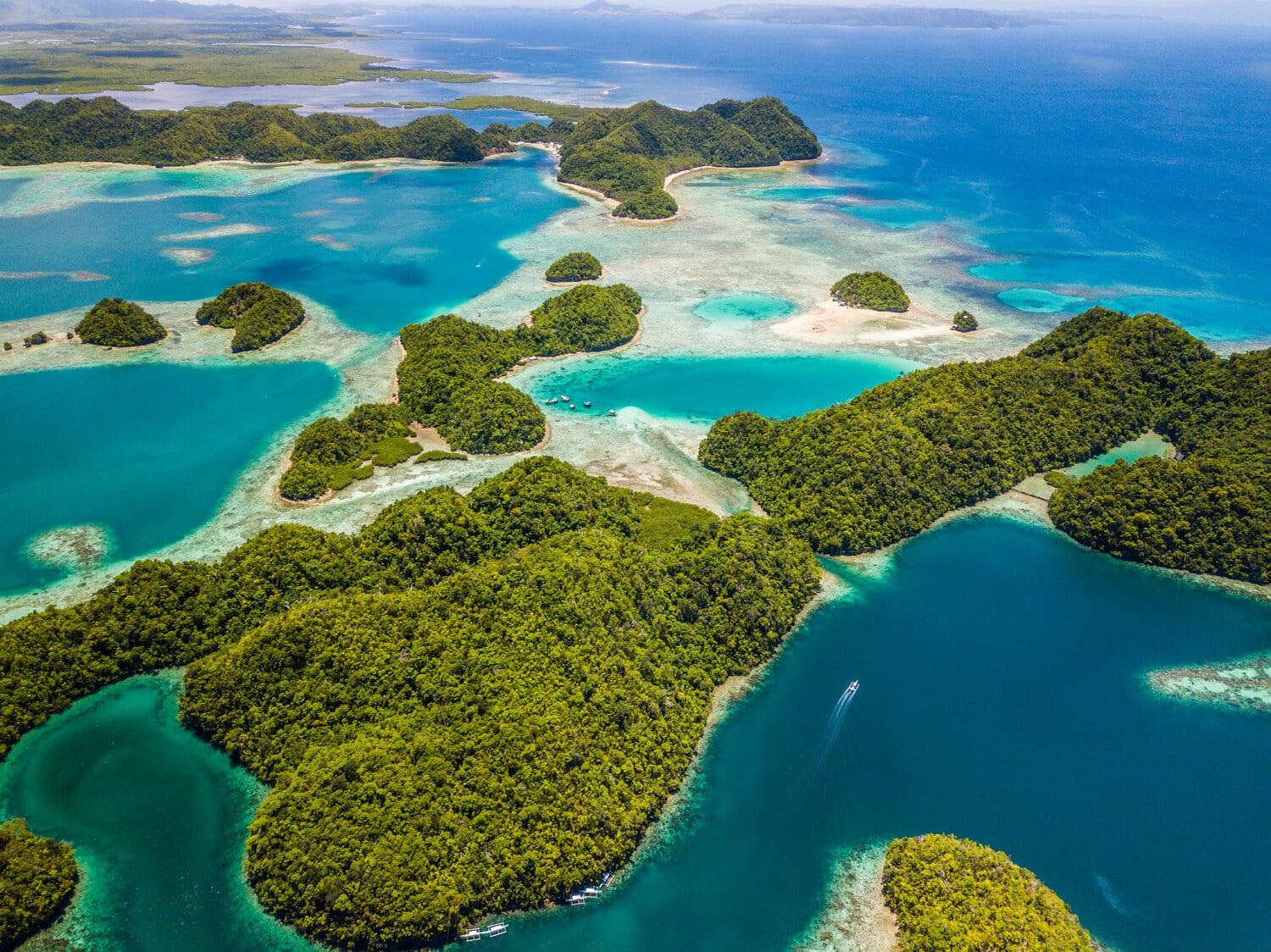 SUGBA LAGOON (CAOB ISLAND) — Kermit