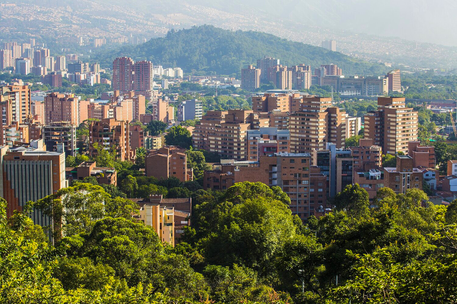 Bodies - Medellín