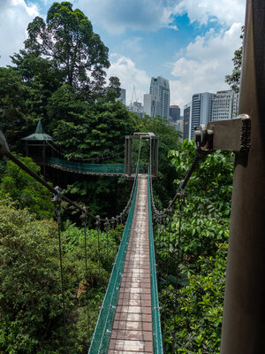 Forest Eco Park, Kuala Lumpur for digital nomads