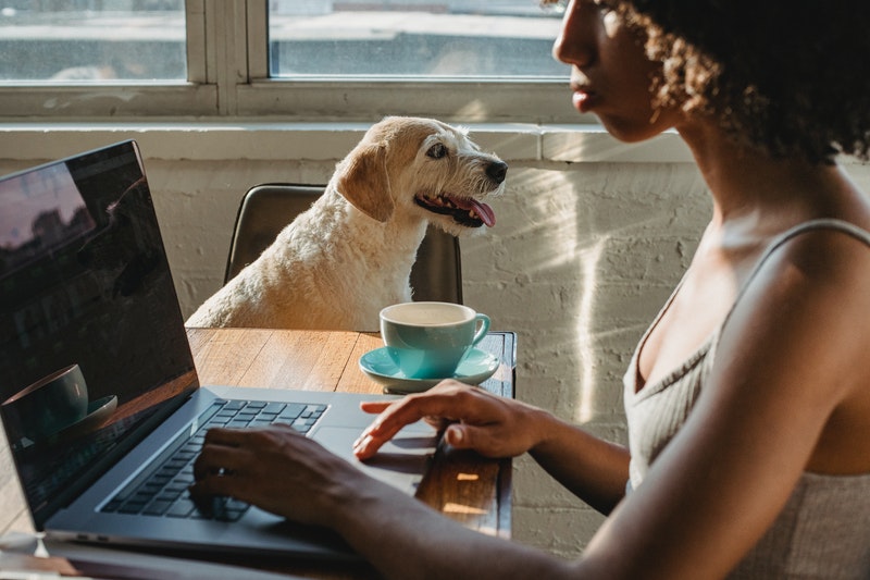 Places to work in Mexico City