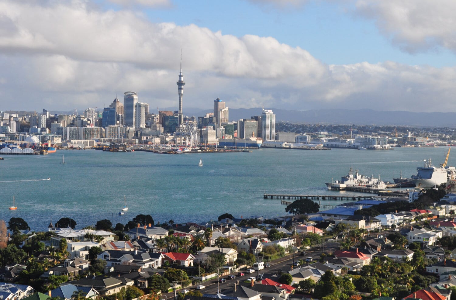 How to Land-based Fish in New Zealand Harbours — Nomad Design New