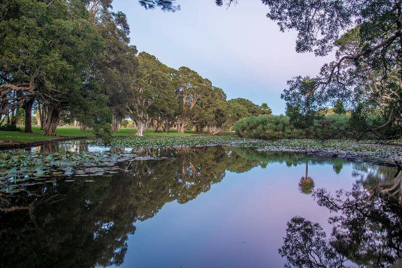 centennial-park-sydney-places-to-live-digital-nomads