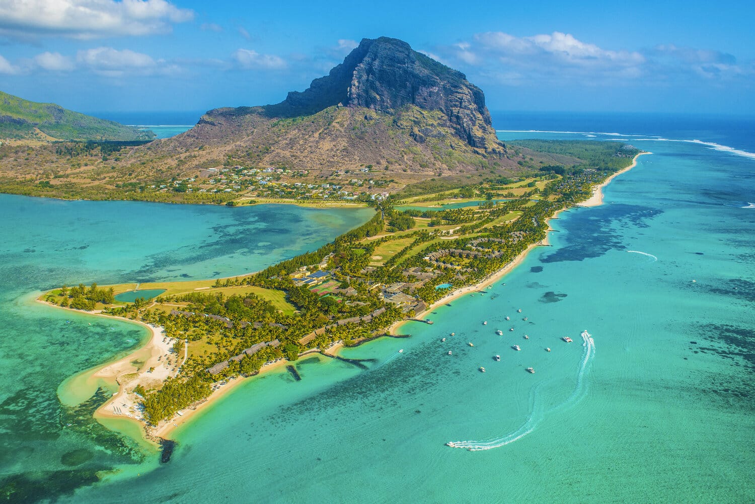 Solo Fishing - Mauritius - Back in stock