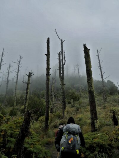 6FD9FC5E-17A0-4344-8CED-C429AB1E99ED