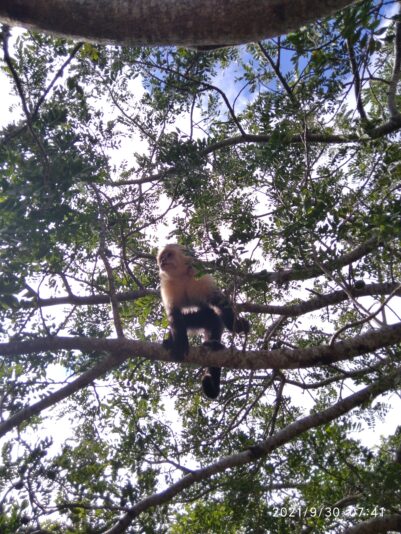 IMG_20210930_074154_1