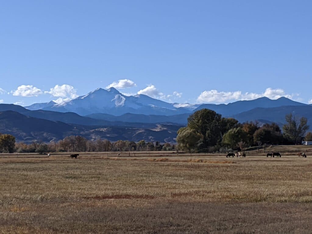 Longmont-Twin-Peaks-by-Maison-Dixon-Productions