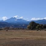 Longmont-Twin-Peaks-by-Maison-Dixon-Productions
