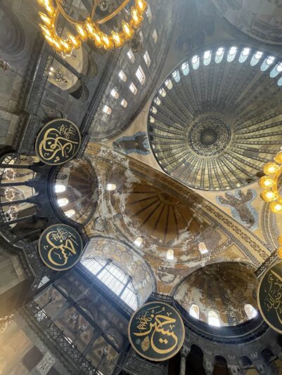 E4F489FF-4585-4C2E-9087-C175FCEC3B5A