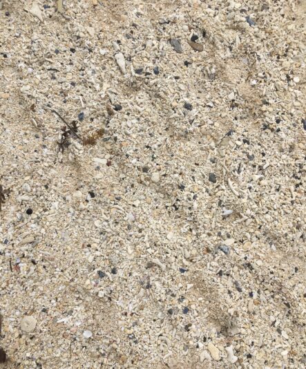 78EC82BA-9863-4B17-B1E4-E946258E61A9