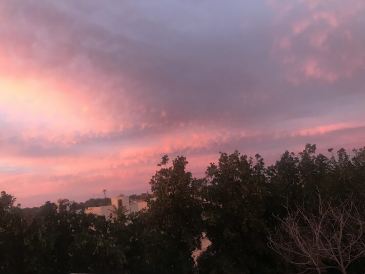 Sharm 13-1-2022 2022-01-12 001