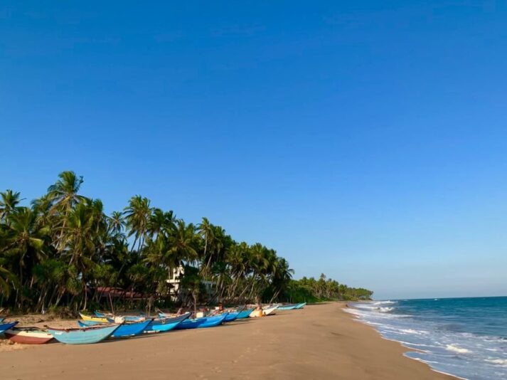 WhatsApp Image 2022-01-30 at 14.55.16