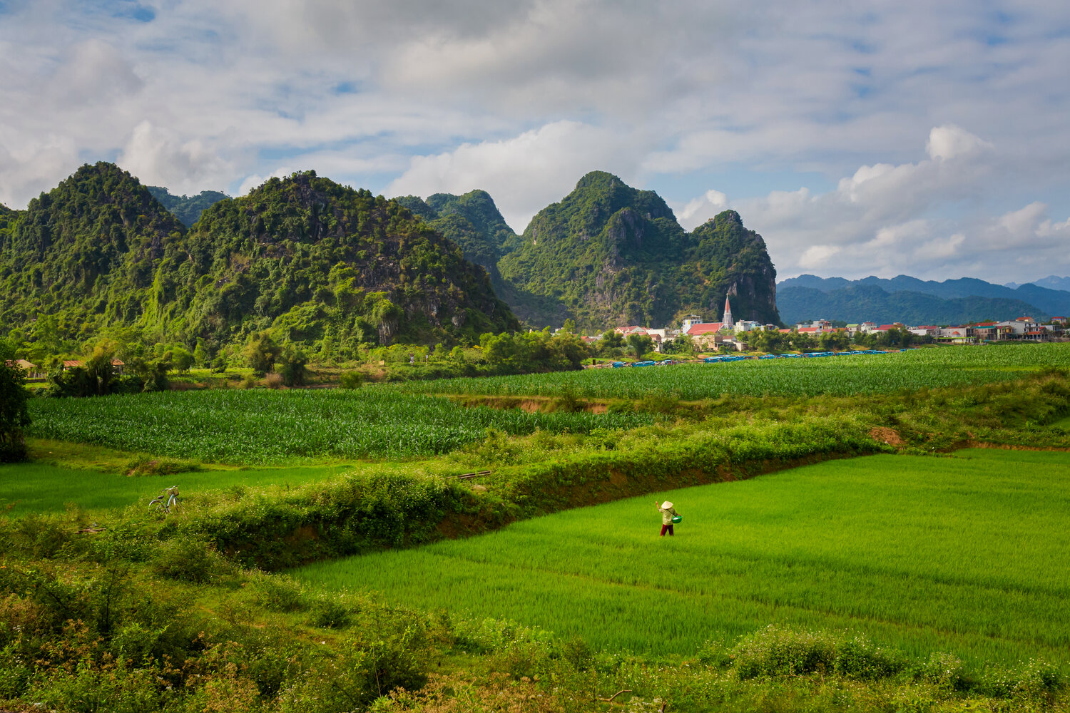 Phong Nha Countryside By Bicycle & Boat Day Trip