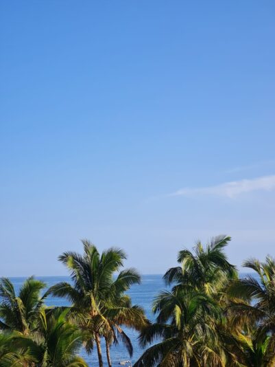 WhatsApp Image 2022-03-11 at 10.26.02 AM