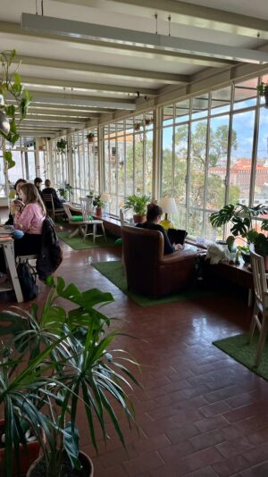 WhatsApp Image 2022-03-30 at 2.31.38 PM