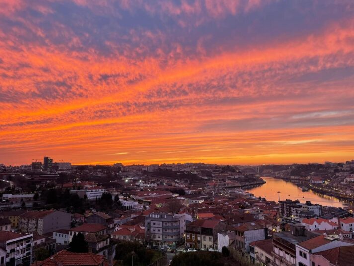 WhatsApp Image 2022-03-10 at 10.29.16