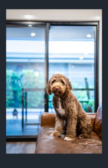 279204711_1115649549218138_524796889852891473_n