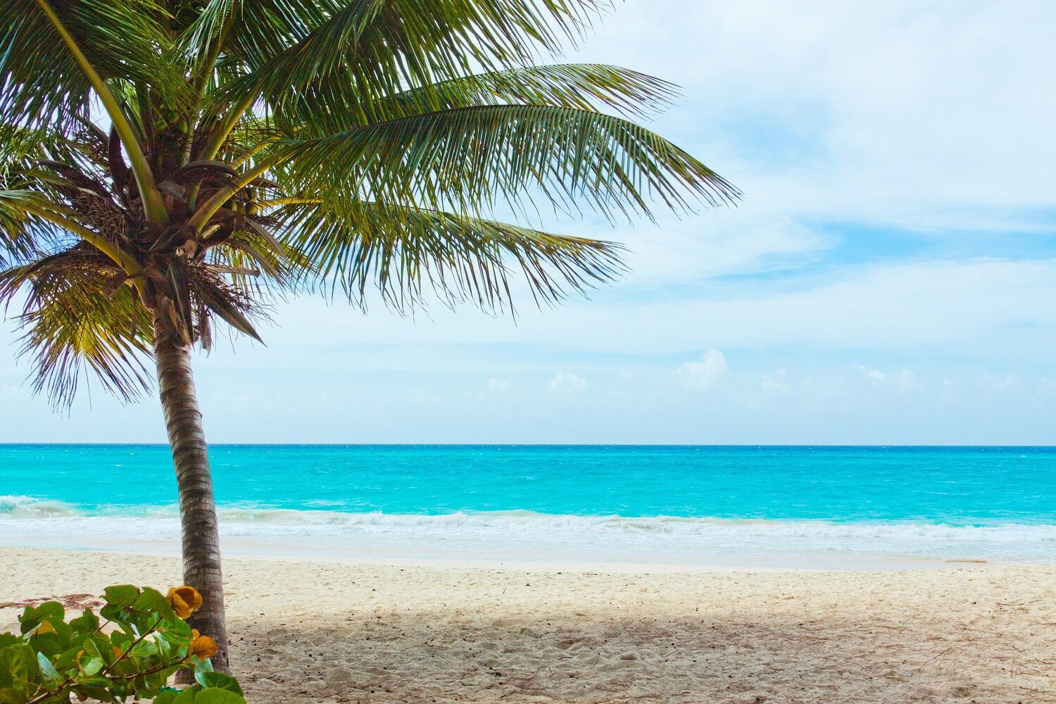 Working And Living In The Caribbean: Your Ultimate Guide