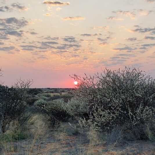 IMG_20220828_195209_257