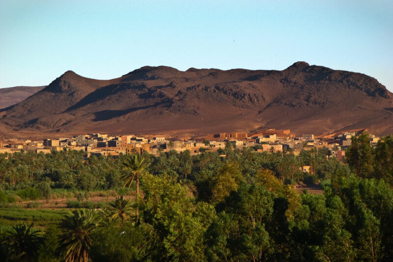 3871197031_1333437805_o