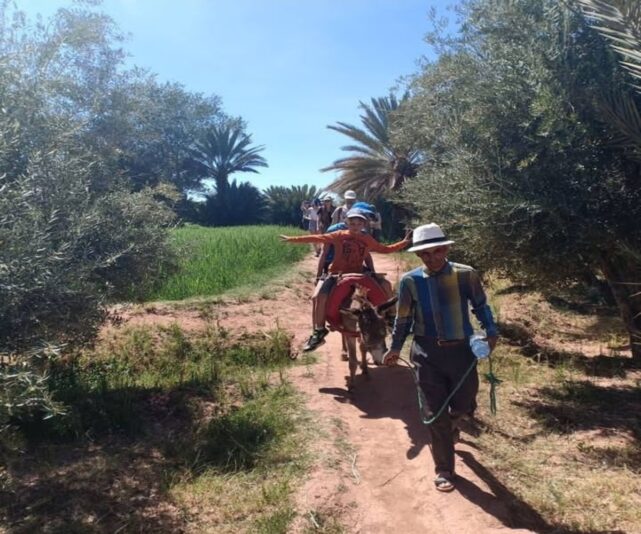 IMG_20221121_182443_1200x1000