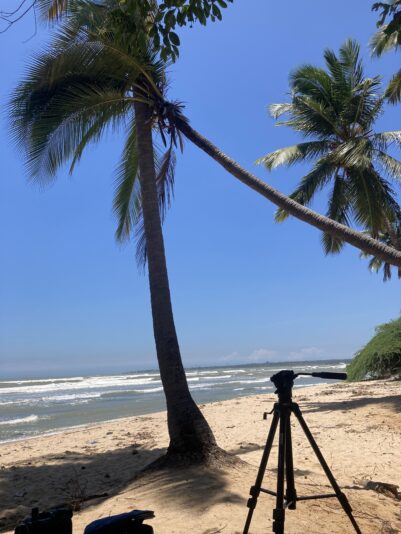 66B755BC-DF39-4D6B-841B-04F9A1C30B41