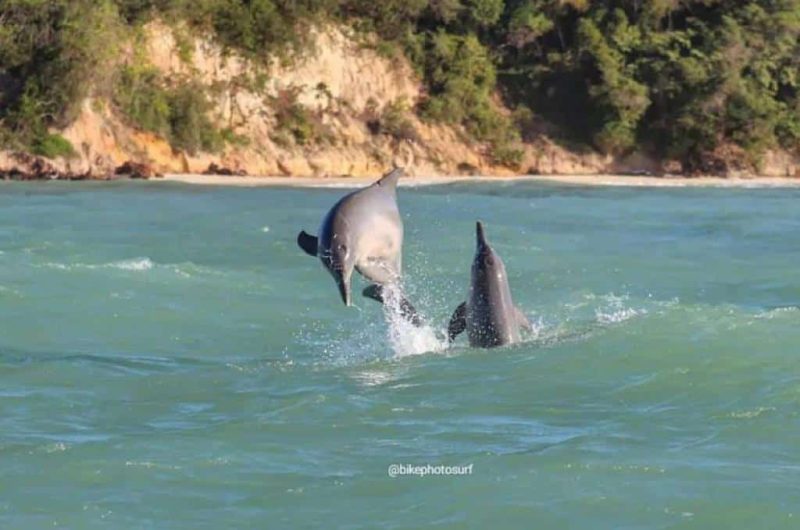 WhatsApp Image 2023-04-19 at 16.32.31