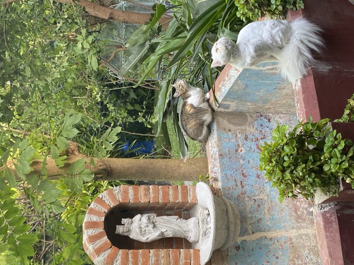 4879325E-FB9D-4F82-839F-37E74F81FC7B