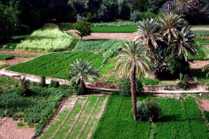 2500909083_9f9704c1b5_o