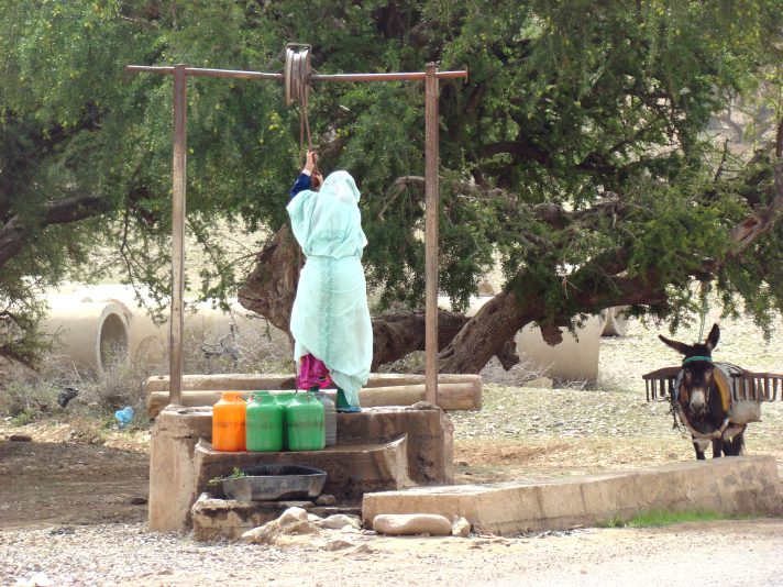 53086523911_63b13c5235_o