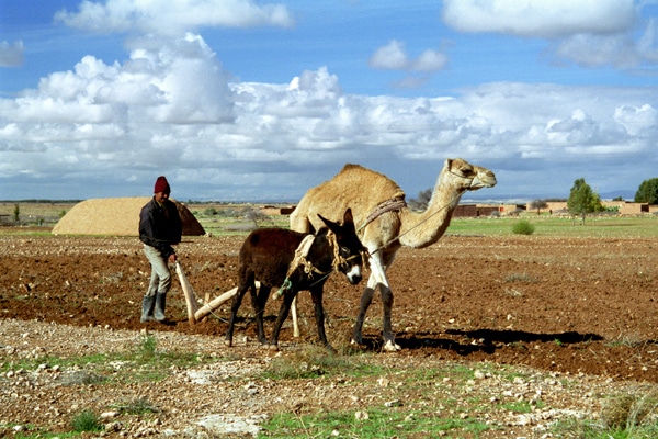 8341686040_e4428c0bea_o