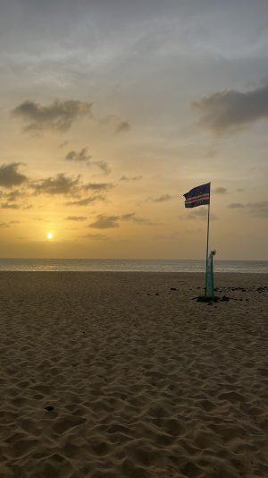 F4FDFD07-9D32-4E7D-921B-87E422804027