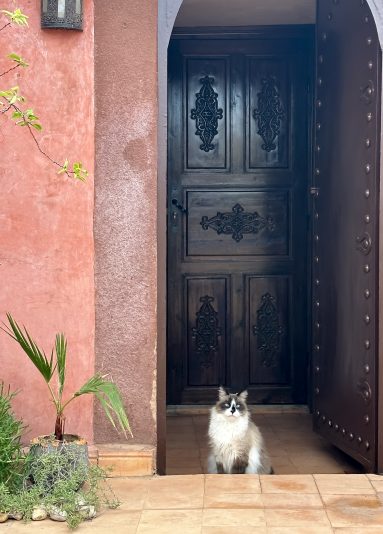 Morocco_Marrakech_mmddyy (date)_11