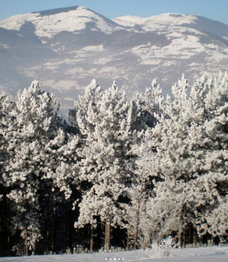 winter scenes zhelen 2