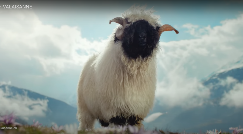 Screenshot 2024-08-03 at 23.32.52