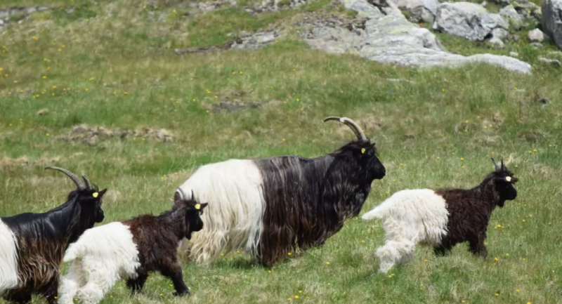 Screenshot 2024-08-05 at 17.55.35