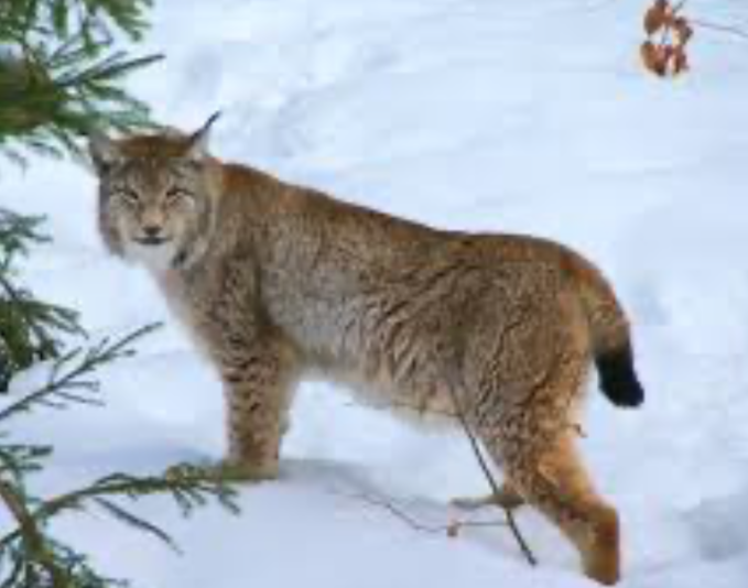 Screenshot 2024-08-05 at 17.58.41