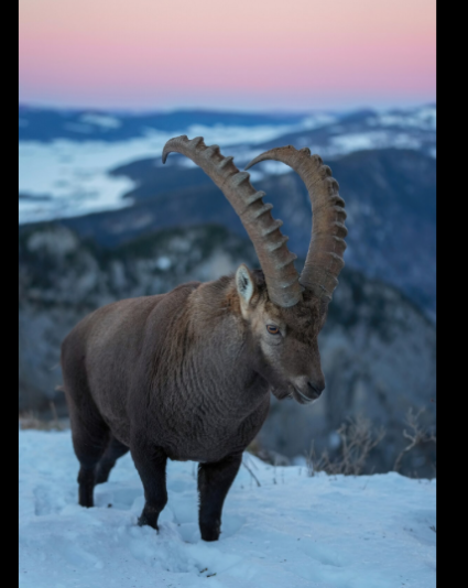 Screenshot 2024-08-05 at 17.59.27