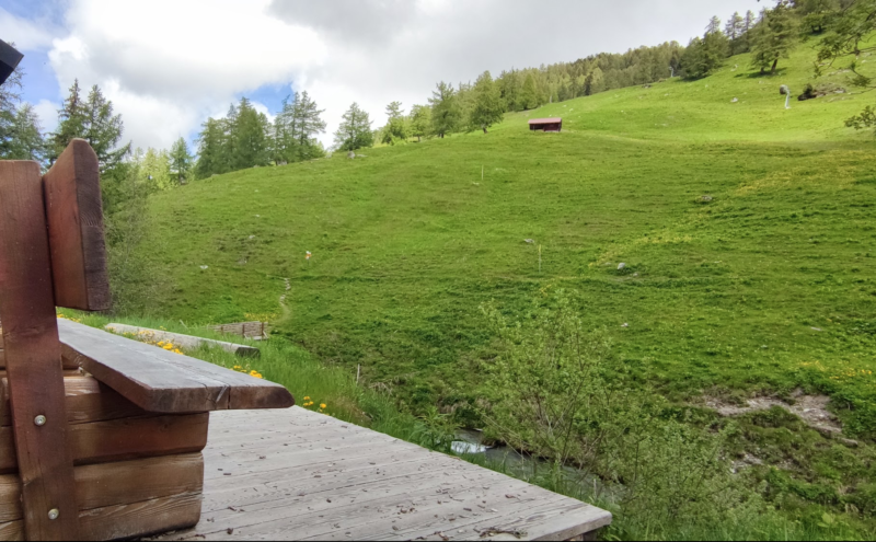 pic bench siviez and alpeweide