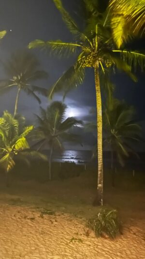 WhatsApp Image 2024-11-26 at 12.44.02