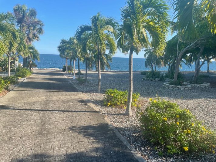 b18fa99f-6588-40d3-9677-e97cc0d1a0c2