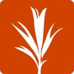 Development Seed