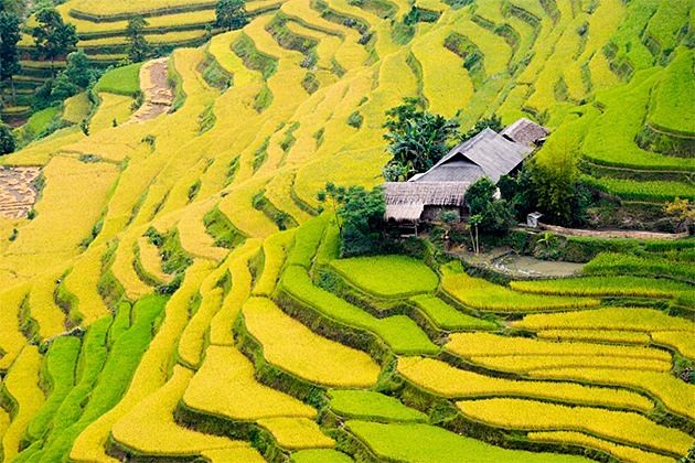 rice-terrace-vietnam-and-cambodia-tour-21-days