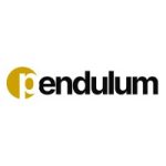 Pendulum™