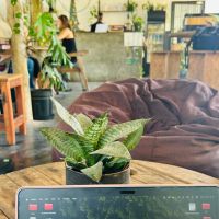 Working-Cafe
