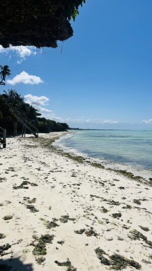 IMG_8081