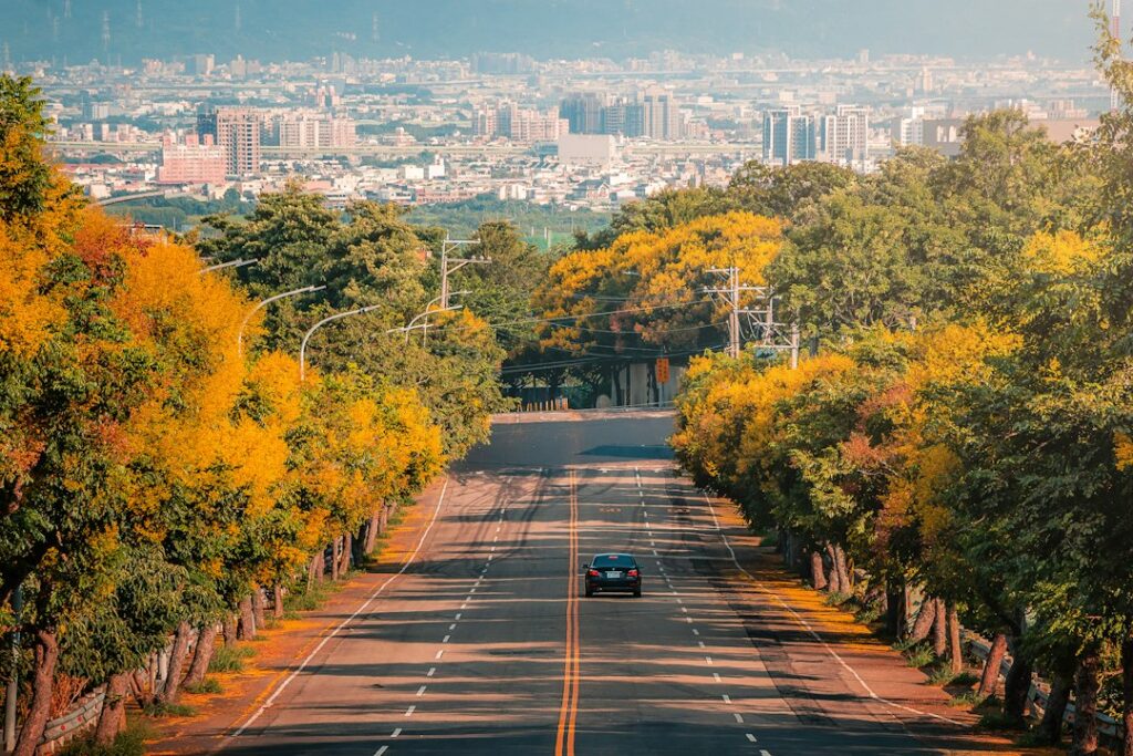 A tree-lined road in Taichung, Taiwan, featured in the digital nomad city guide