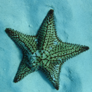 Profile photo of Winnie